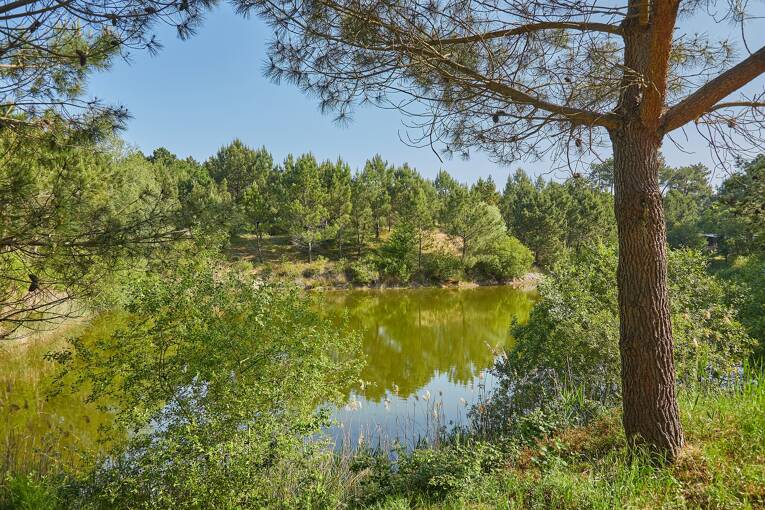 Camping La Pinède ***** photo 6 Charente Maritime Tohapi